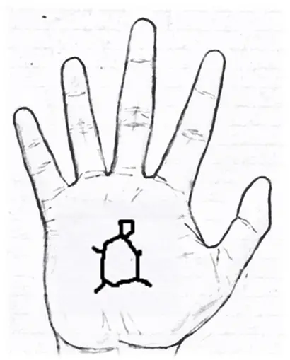 Sign of a Tortoise in palmistry