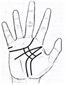 Love Marriage Signs And Love Line Palm Reading In Palmistry