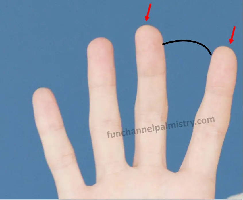 Gap between index finger and middle finger