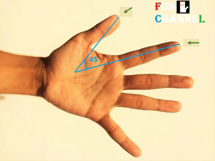 gap between thumb and the index finger