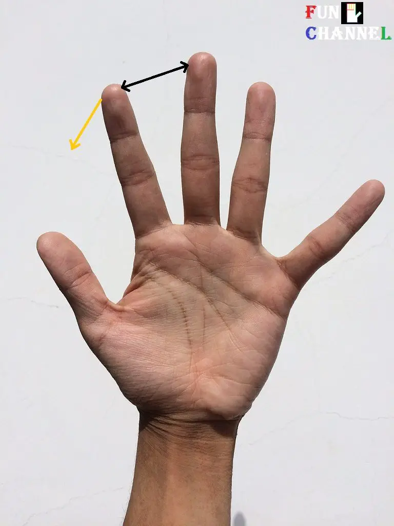 Space between index finger and middle finger