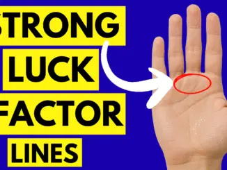 Types of Sun lines in palmistry