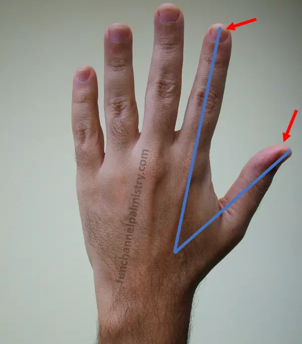 gap between thumb and index finger