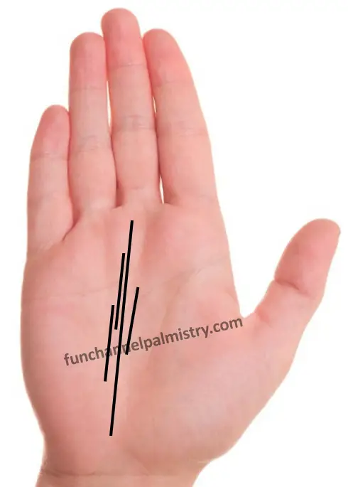 multiple fate lines on palm