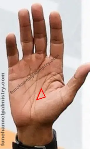 triangle inside life line palmistry