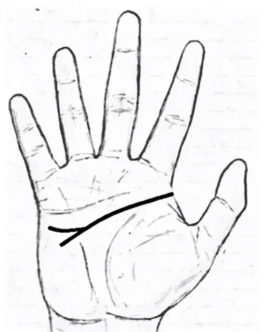 forked head line in palmistry