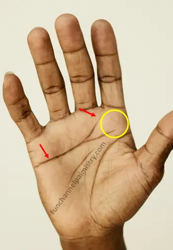 curved heart line palmistry