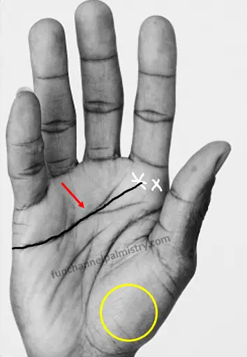 straight heart line in both hands