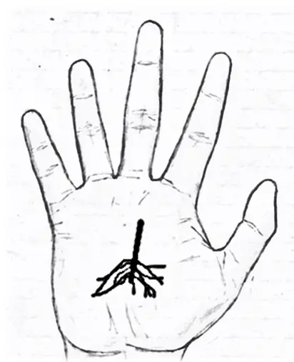 Tassels in palmistry