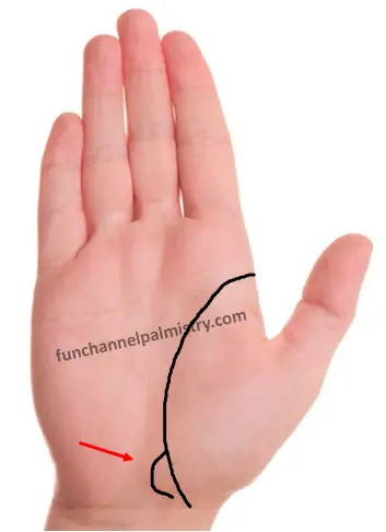 fish line in palmistry