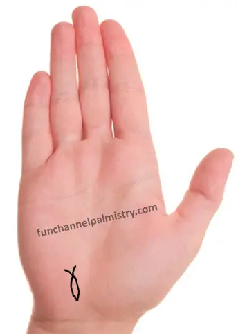 fish tail in palmistry