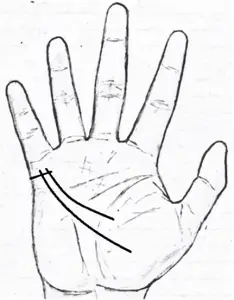 Signs Of A Divorce In Marriage/Separation Lines In Palmistry