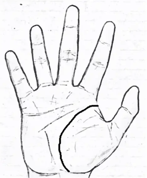 life line in palmistry