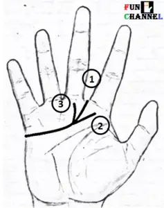 Do You Know The Meaning Of These Major Lines In Your Hand?