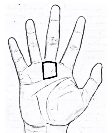 mount of Saturn in palmistry