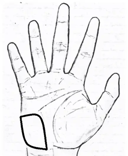 Mount of Moon/Mount of Luna in palmistry