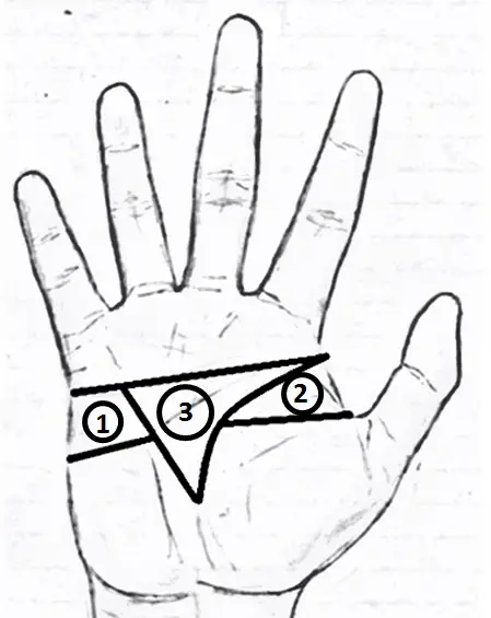 Lower mount of mars/Upper mount of Mars/Plain of Mars in palmistry