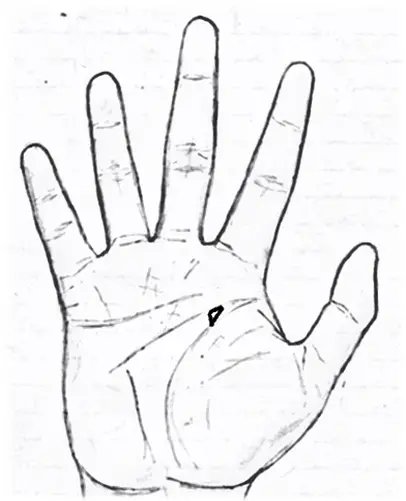 Lottery triangle in palmistry