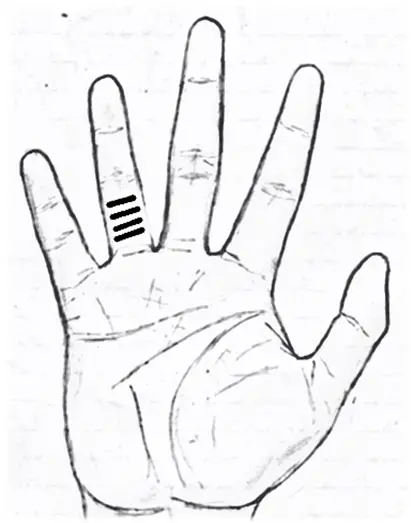 Horizontal lines on the Third section of Apollo finger