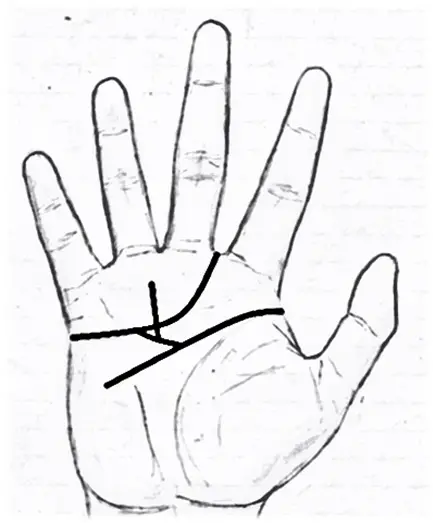 Good Fortune Signs In Palmistry