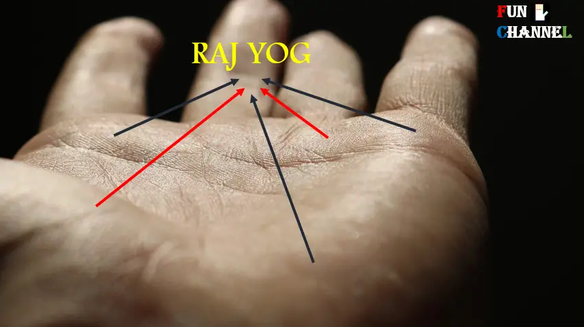 Millionaire Signs/Raj Yoga in palmistry