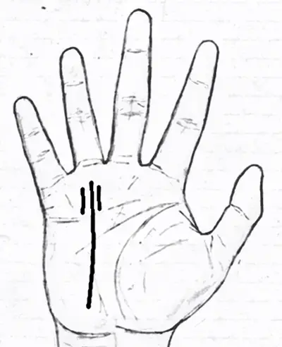 Lines of reputation/sister lines palmistry