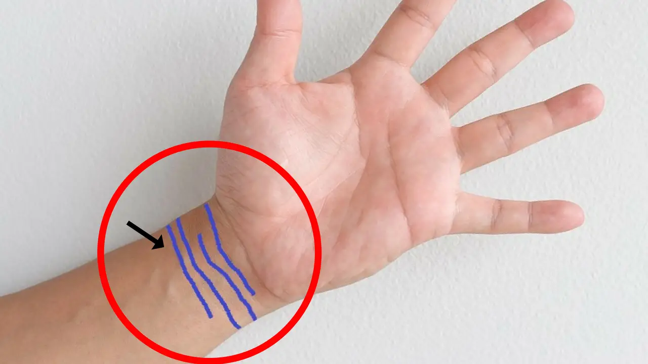 wrist lines (bracelet lines) in palmistry