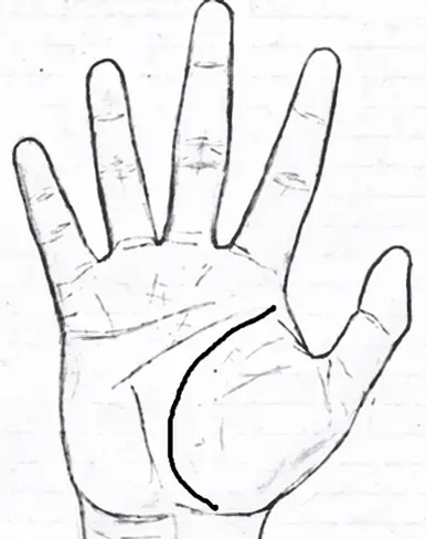 Curved Life line in palmistry