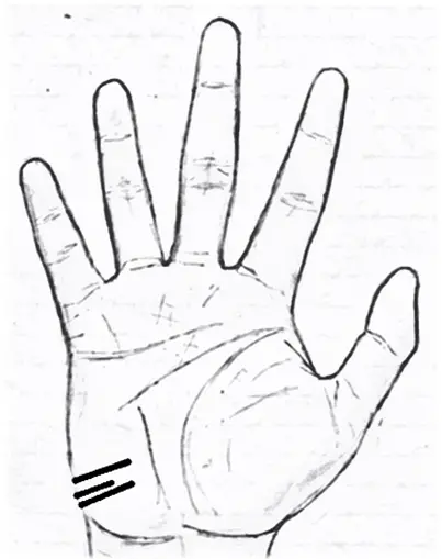 Travel lines in palmistry
