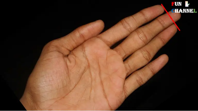 Length Of The Fingers And Your Personality-Palmistry