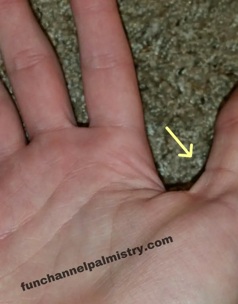 high set thumb palmistry