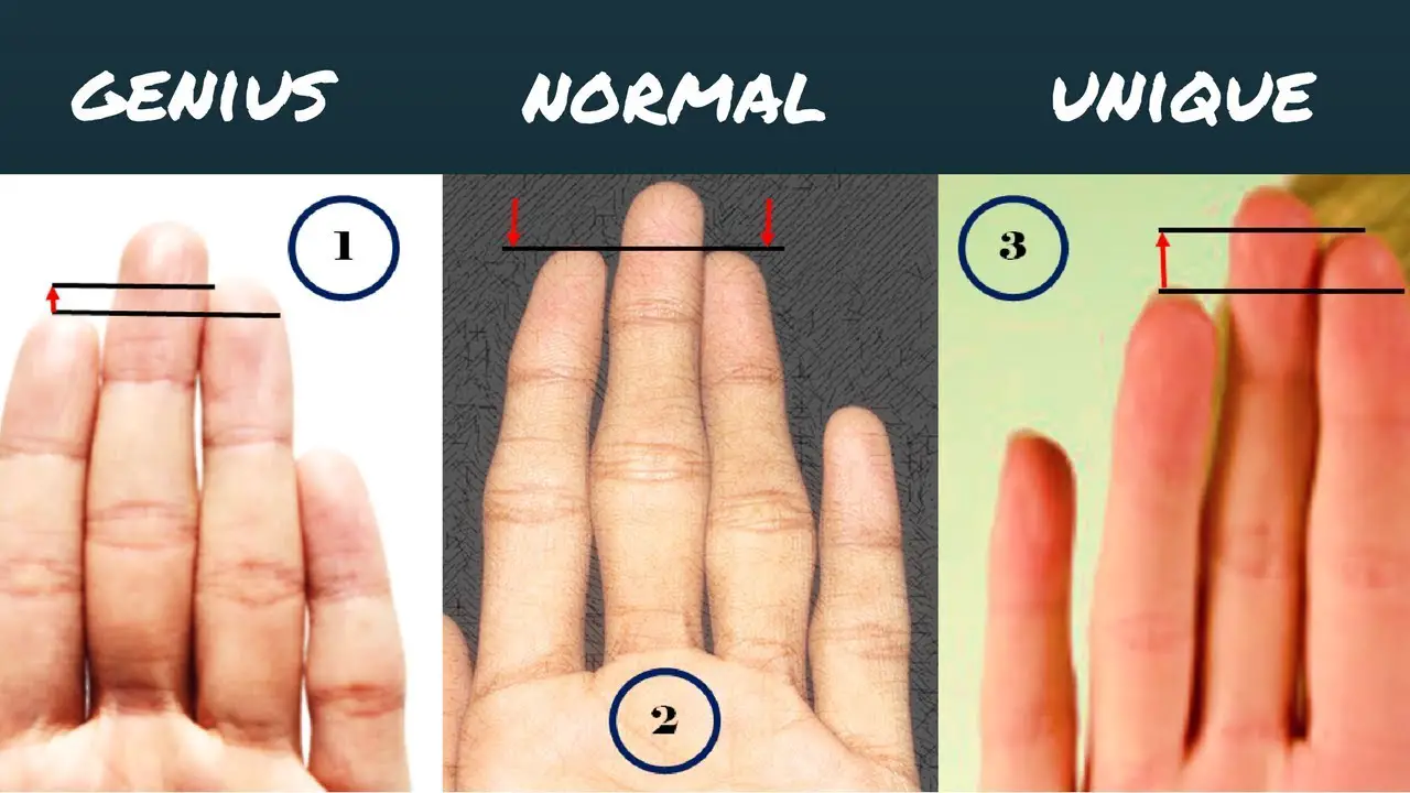 Length of the fingers and your personality