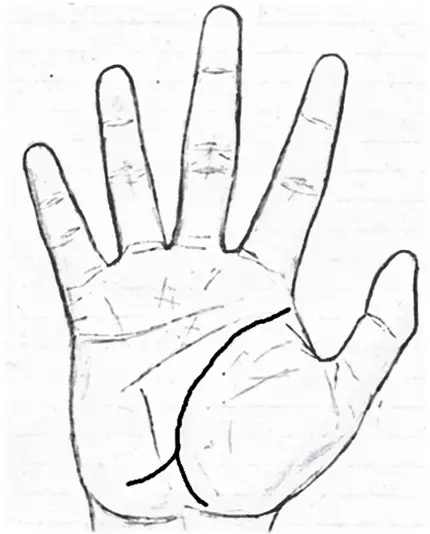 Line from life line to mount of moon palmistry
