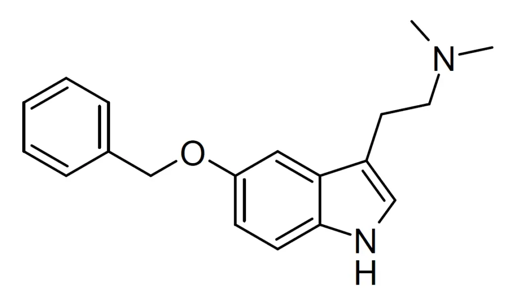 Dimethyltryptamine and Pineal Gland
