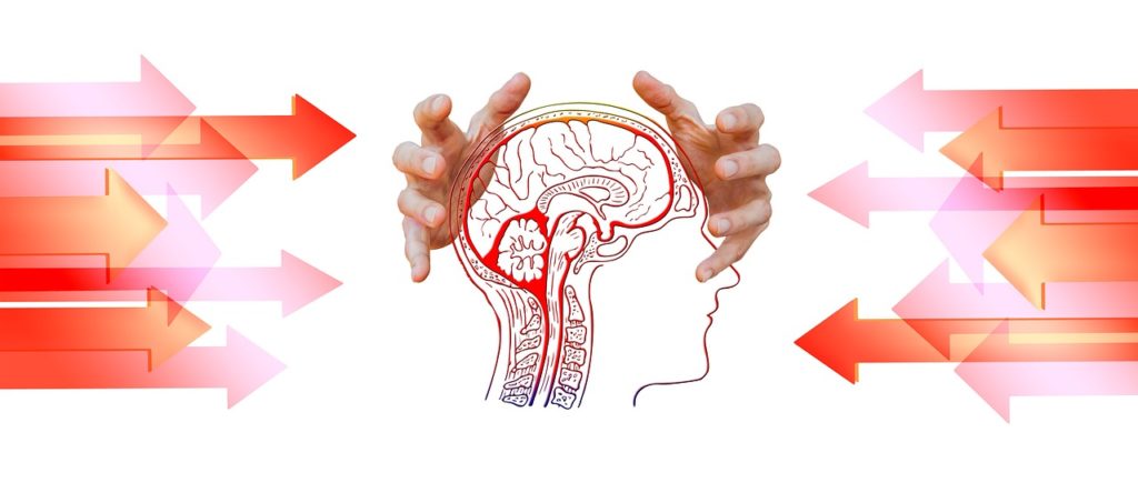 brain and stress