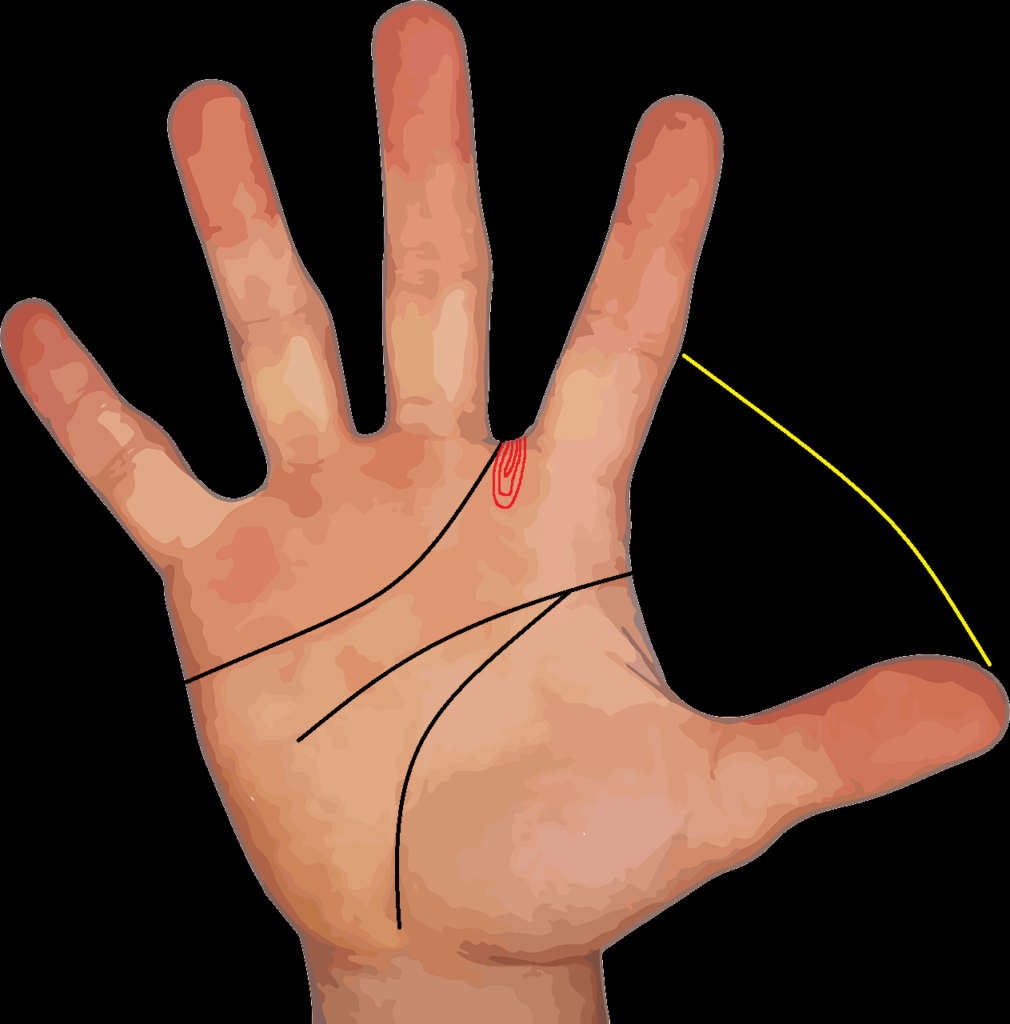 Long thumb leader with Raja Loop