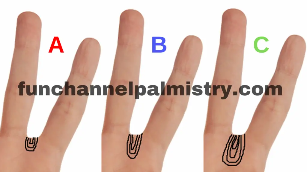 Raja Loop in palmistry