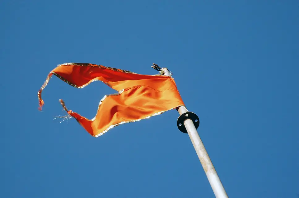 flag sign in palmistry