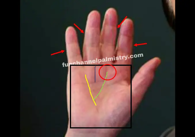 Billionaire lines in palmistry