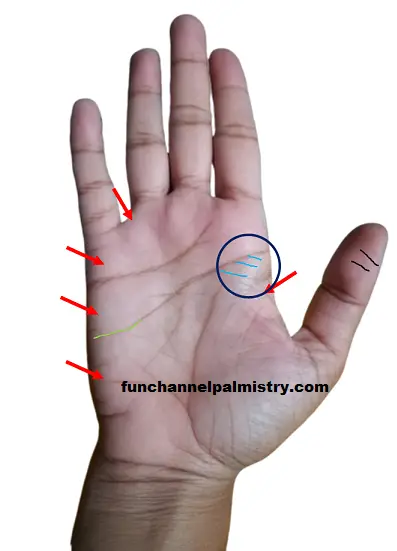 flat mounts in palmistry