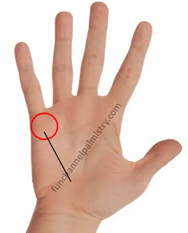 long mercury line in palmistry