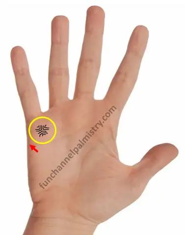 apex in palmistry