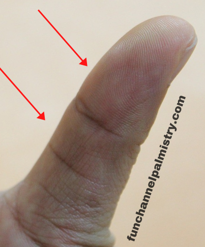 balanced thumb palm reading