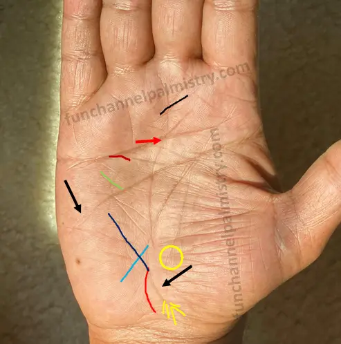 horizontal lines cutting fate line