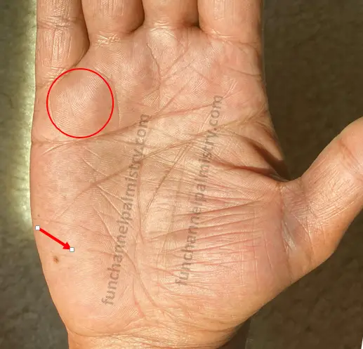 Loop of nature in palmistry