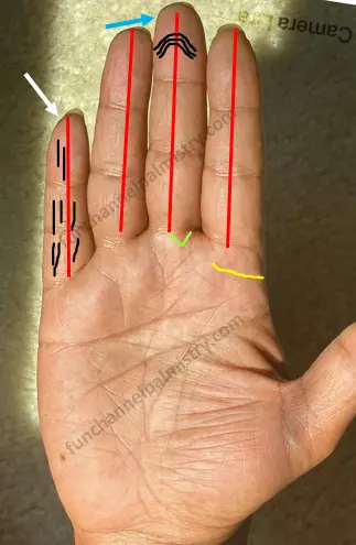 Short fingers in palmistry