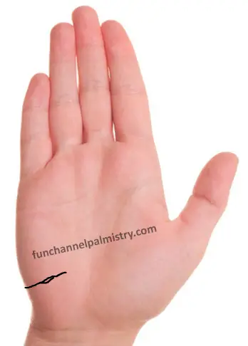 travel signs in palmistry