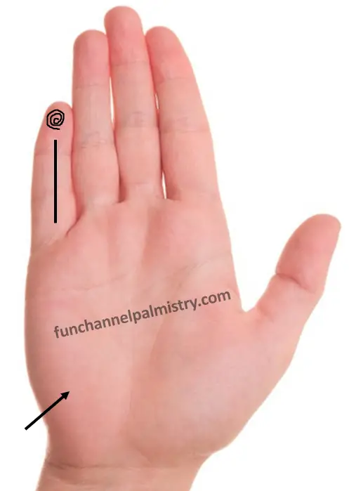 whorl-fingerprint-on-little-finger