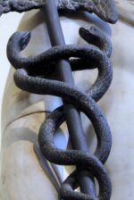 Black Snake Dream Meaning- 27 Different Interpretations