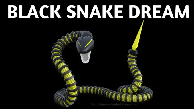 Black Snake Dream Meaning